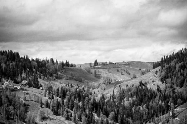 An image uploaded to Strapi called tendances_2024